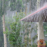 Alerta de chuvas intensas no Amazonas: riscos, impactos e como se preparar diante do cenário climático