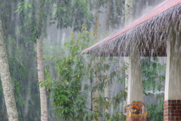 Alerta de chuvas intensas no Amazonas: riscos, impactos e como se preparar diante do cenário climático