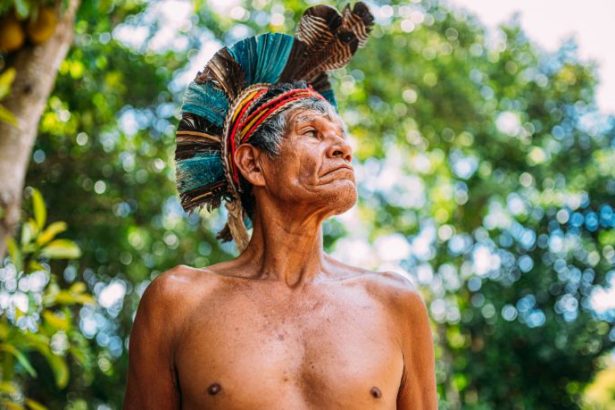 Desafios Culturais e Operacionais na Proteção dos Povos Originários do Amazonas